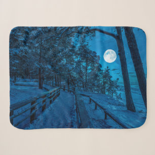 Winterlandschaft mit schneebedecktem Pinienwald Sherpadecke