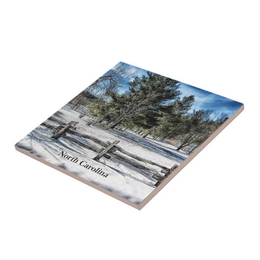 Winterlandschaft North Carolina Fliese (Seite)