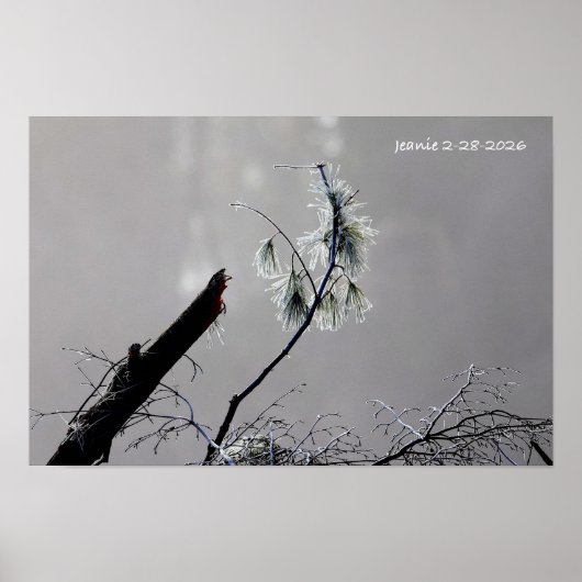 Winterlandschaft Poster (Vorne)
