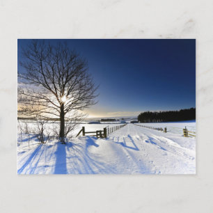 Winterlandschaft Postkarte