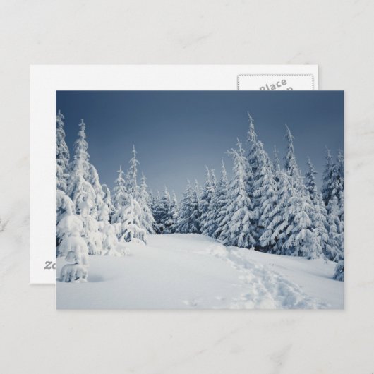 Winterlandschaft Postkarte (Vorne/Hinten)