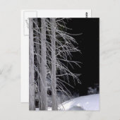 Winterlandschaft Postkarte (Vorne/Hinten)
