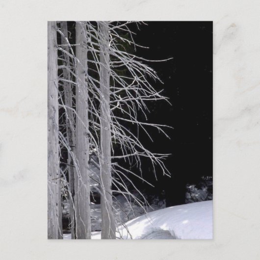 Winterlandschaft Postkarte (Vorderseite)