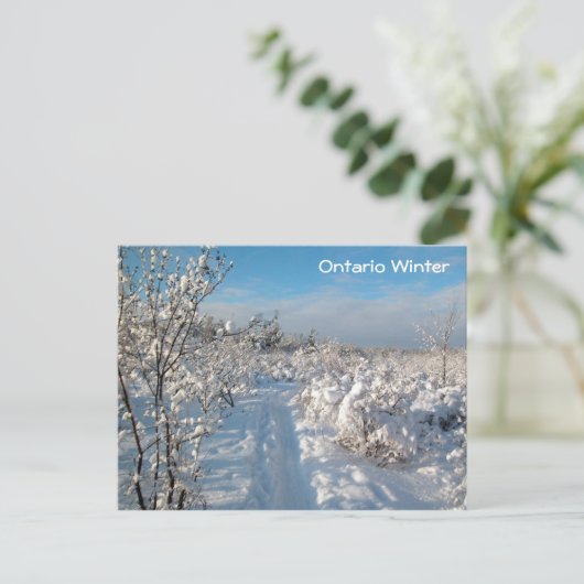 Winterlandschaft - Postkarte (Stehend Vorderseite)