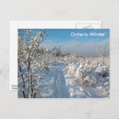 Winterlandschaft - Postkarte (Vorne/Hinten)
