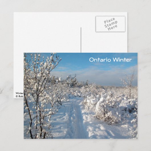 Winterlandschaft - Postkarte (Vorne/Hinten)
