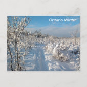 Winterlandschaft - Postkarte (Vorderseite)