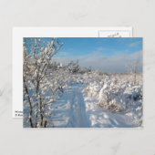 Winterlandschaft - Postkarte (Vorne/Hinten)
