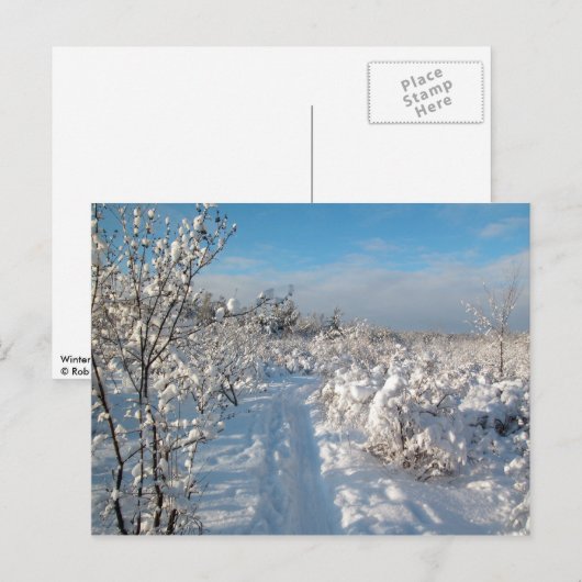 Winterlandschaft - Postkarte (Vorne/Hinten)