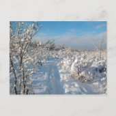 Winterlandschaft - Postkarte (Vorderseite)