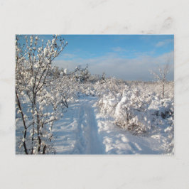 Winterlandschaft - Postkarte