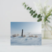 Winterlandschaft Postkarte (Stehend Vorderseite)