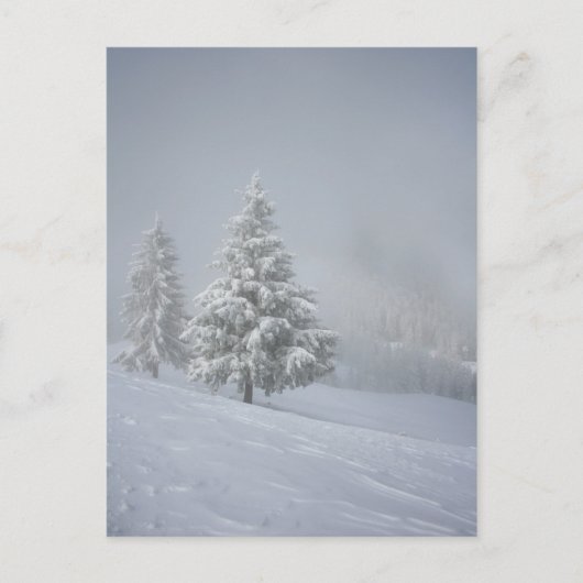 Winterlandschaft Postkarte (Vorderseite)