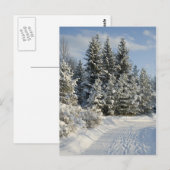 Winterlandschaft Postkarte (Vorne/Hinten)
