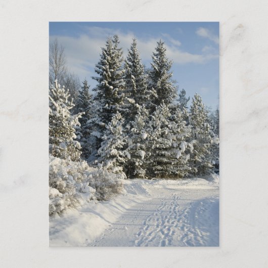 Winterlandschaft Postkarte (Vorderseite)