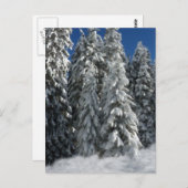 Winterlandschaft Postkarte (Vorne/Hinten)