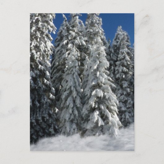 Winterlandschaft Postkarte (Vorderseite)