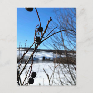 Winterlandschaft Postkarte