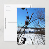 Winterlandschaft Postkarte (Vorne/Hinten)