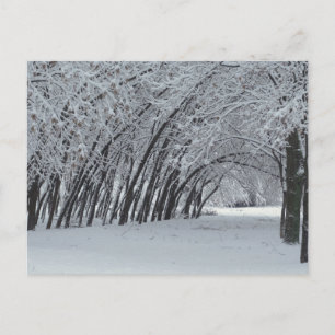 Winterlandschaftsfoto - Postkarte