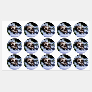Winterleben IV Etiketten