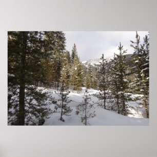 Winterliche Bergszene in Montana Poster
