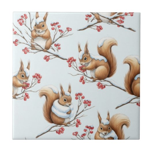 Winterliche Eichhörnchen zwischen schneebedeckten Fliese (Vorderseite)