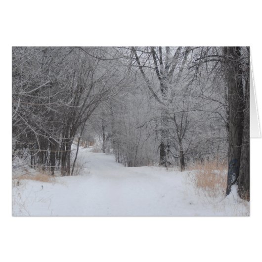 Winterliche Einsamkeit (Vorderseite (Horizontal))