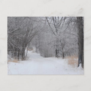 Winterliche Einsamkeit Postkarte