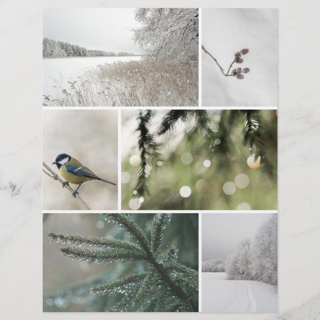 Winterliche Natur: Weihnachts-Scrapbook-Ausschneid (Vorderseite)