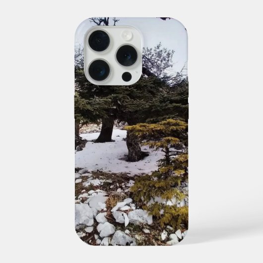 Winterliche Ruhe im Wald iPhone Hülle (Rückseite)