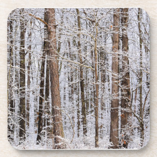 Winterlicher Eissturm im Wald Getränkeuntersetzer