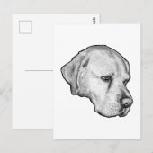 Winterlicher ruhiger Blick Postkarte (Vorne/Hinten)