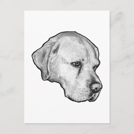 Winterlicher ruhiger Blick Postkarte (Vorderseite)