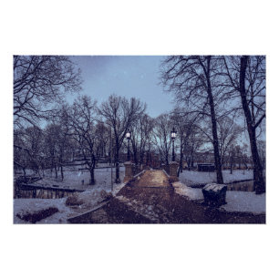 Winterlicher schneebedeckter Stadtpark am Abend Poster