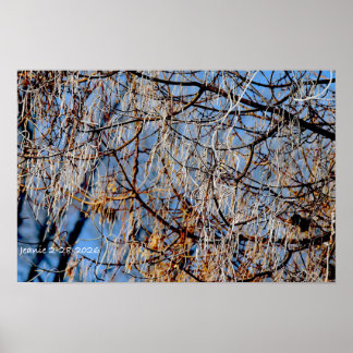 Winterlicher vereister Baum Poster