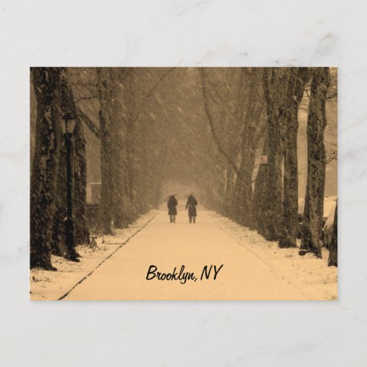 Winterliches Brooklyn Postkarte (Vorderseite)