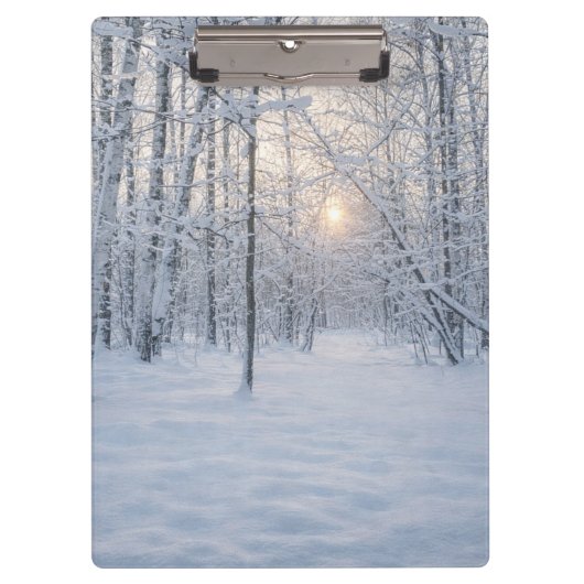 Winterliches Sonnenlicht im stillen Birkenwald Klemmbrett (Vorderseite)