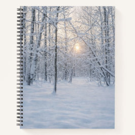Winterliches Sonnenlicht im stillen Birkenwald Notizblock