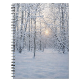 Winterliches Sonnenlicht im stillen Birkenwald Notizblock