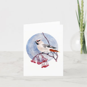 Winterliches Vogel-Feiertagskarten Feiertagskarte