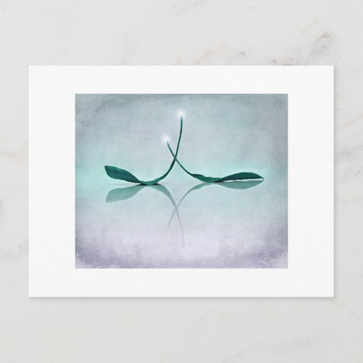 Winterlicht Postkarte (Vorderseite)