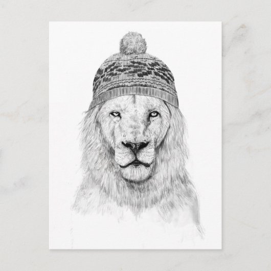 Winterlion (bw. postkarte (Vorderseite)