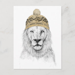 Winterlion Postkarte