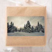 Wintermagie (Insitu)