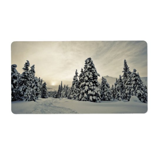 Wintermagie (Vorne)