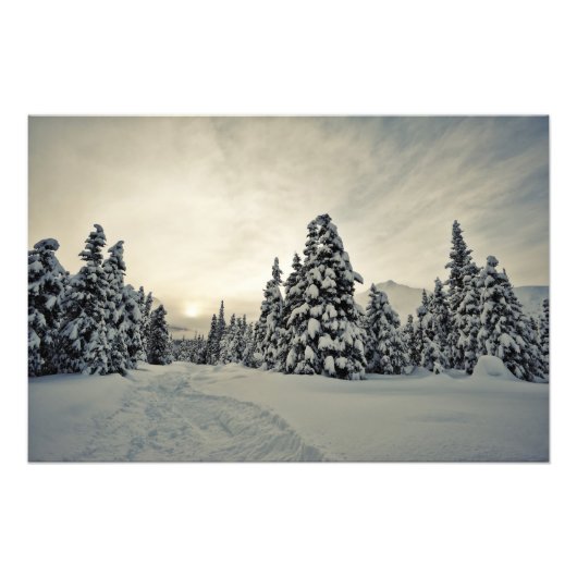 Wintermagie Fotodruck (Vorne)
