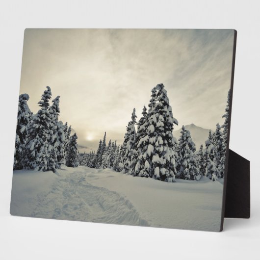 Wintermagie Fotoplatte (Seite)