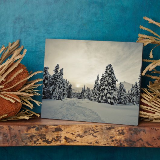 Wintermagie Fotoplatte (Seite)