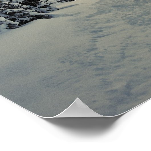 Wintermagie Poster (Ecke)